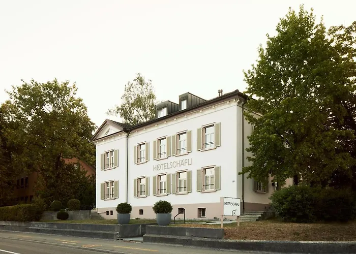 Hotel Schaefli