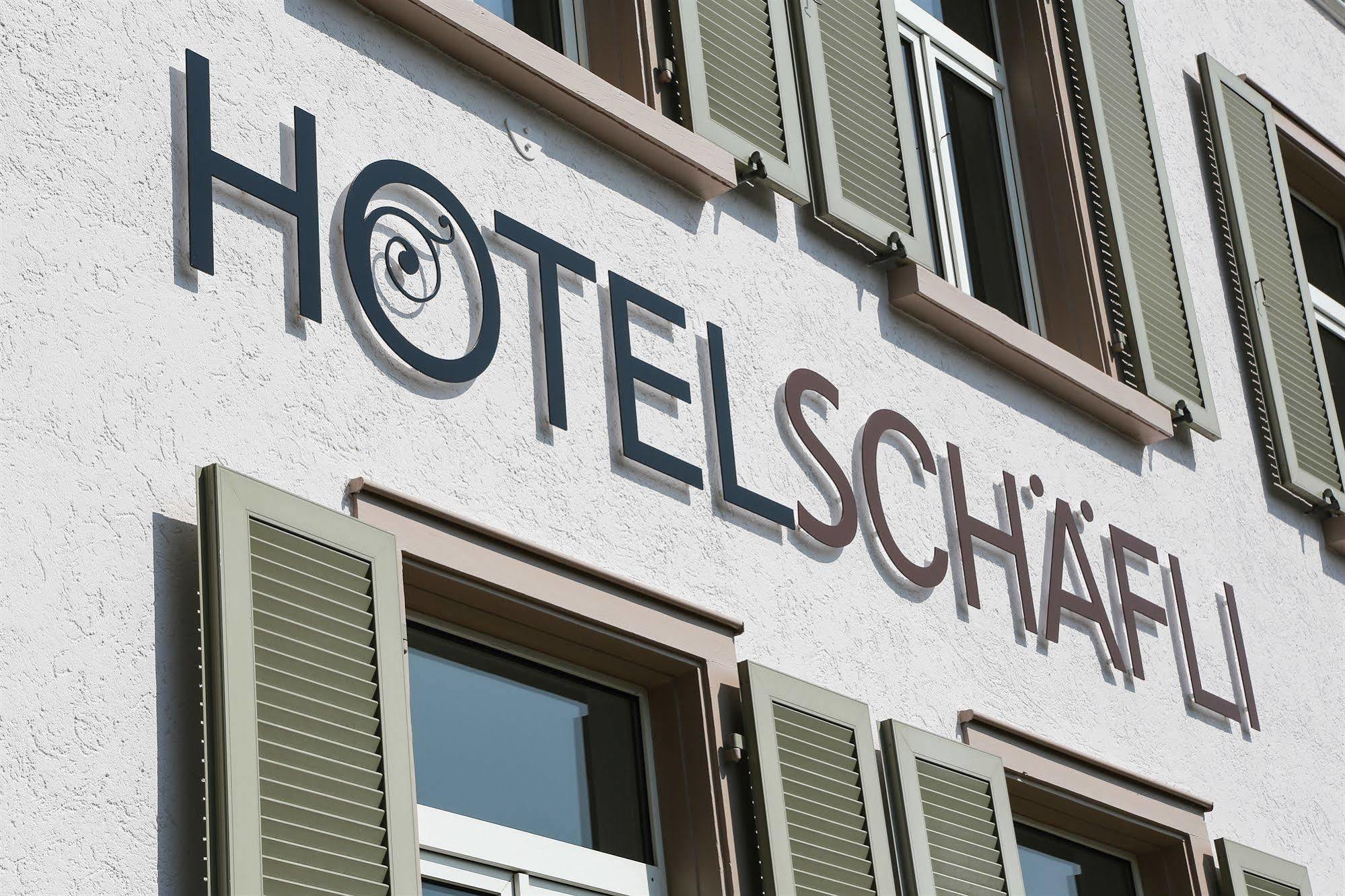 Hotel Schaefli 2*