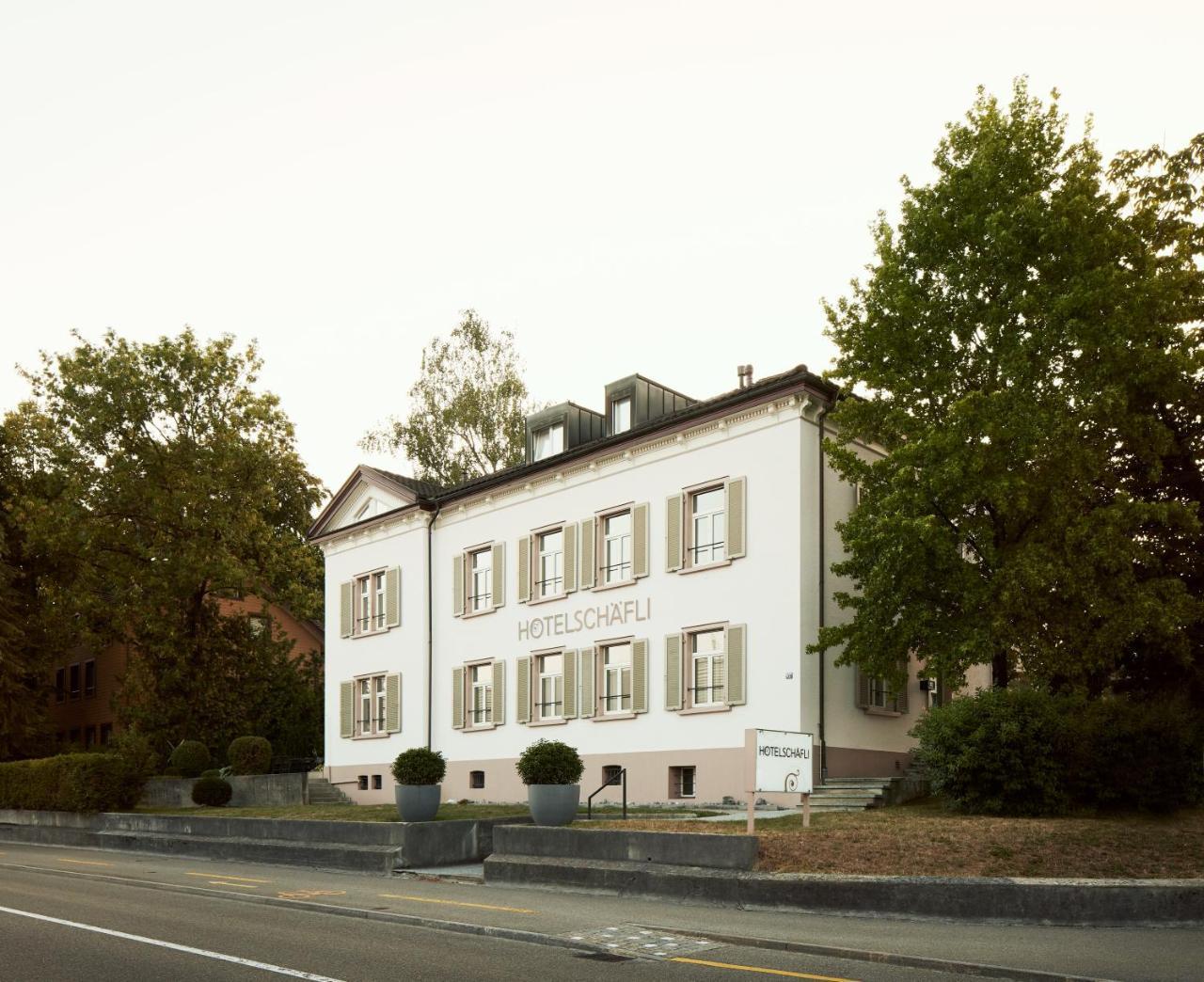Hotel Schaefli 2*